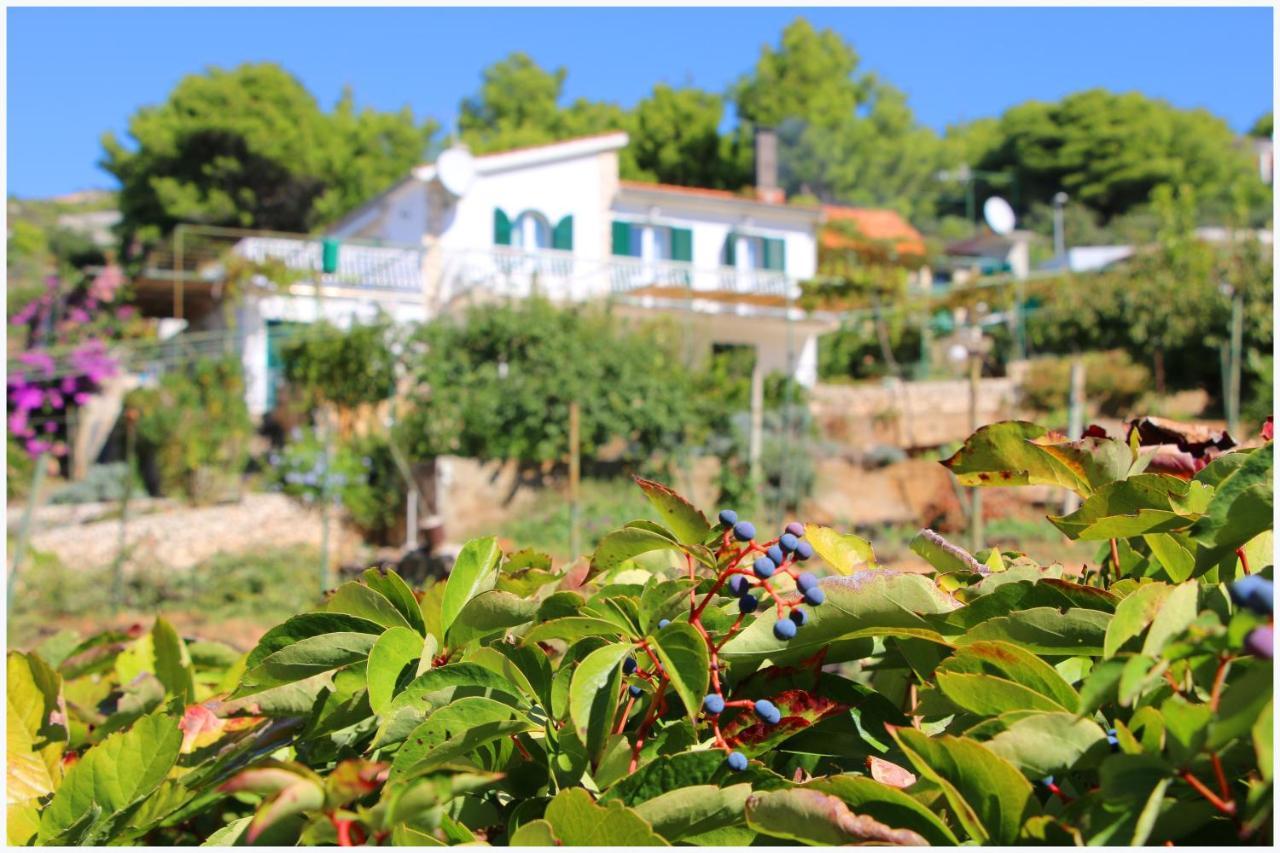 Katarina And House Marieta Holiday home